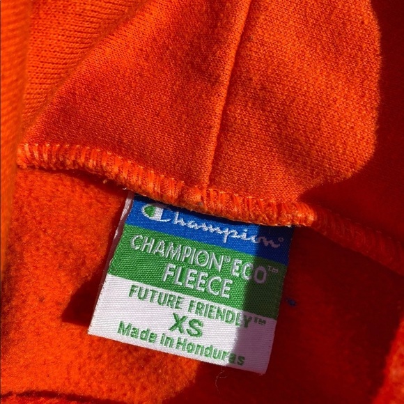 VINTAGE UNIVERSITY OF FLORIDA CHAMPION COLLEGE HOODIE - Picture 2 of 5